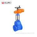 Ceramic double disc gate valve flanged